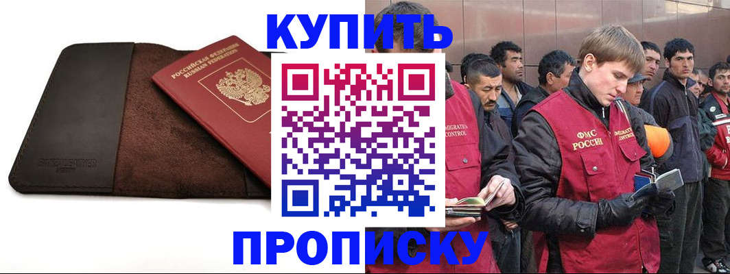 временная прописка в Новодвинске